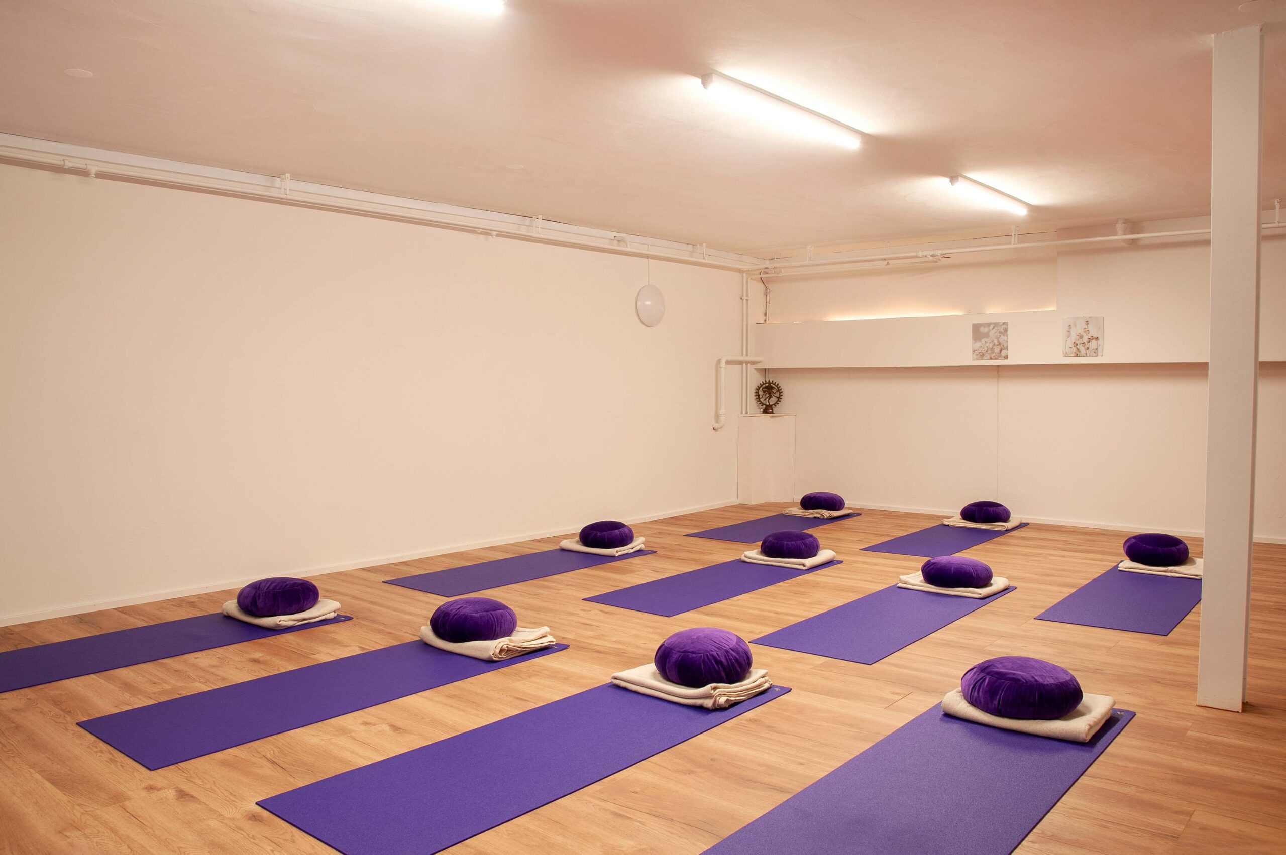 jivana-yoga-yogastudio-chur-01
